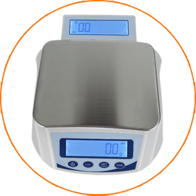 Precision Balance 0.1g