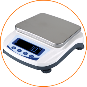 Precision Balance 0.1g